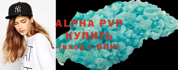 индика Абаза