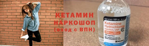шишки Корсаков