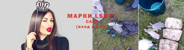 шишки Корсаков