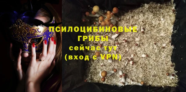 индика Абаза