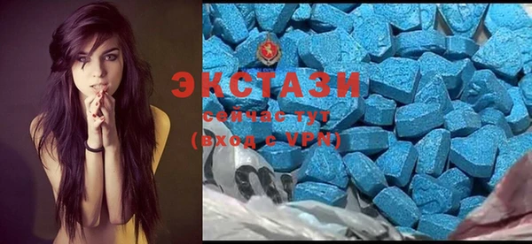 индика Абаза